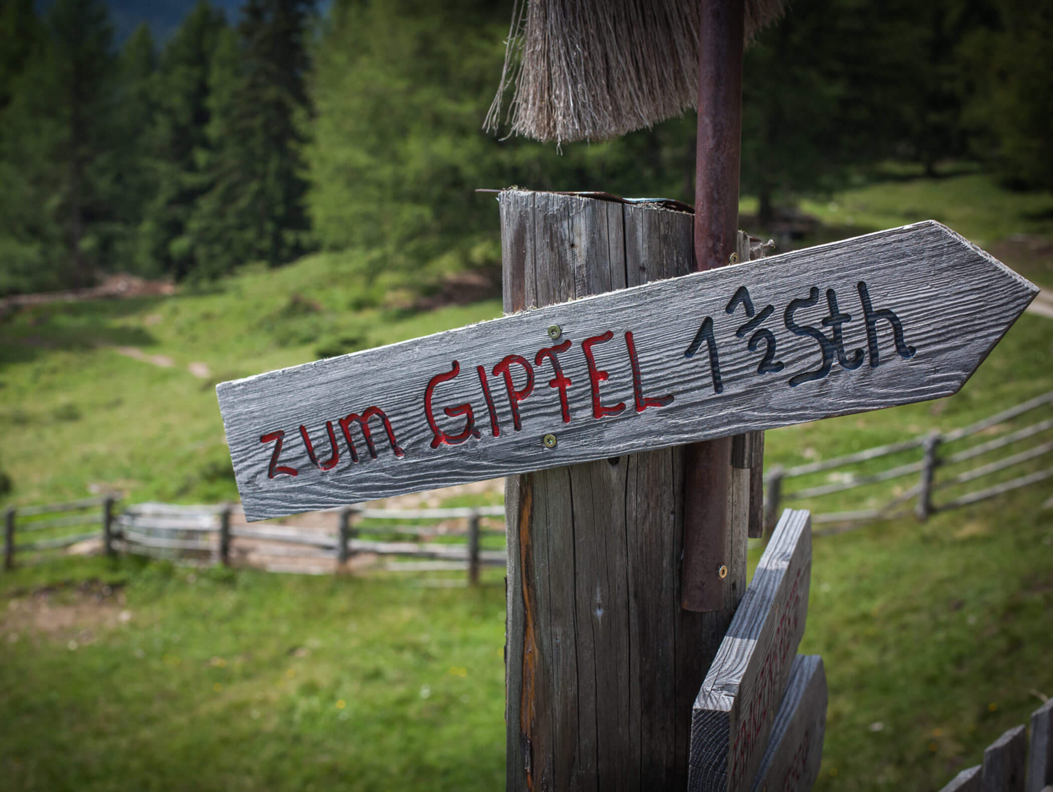 Wegweißer zum Gipfel - Berghotel Alpenfrieden