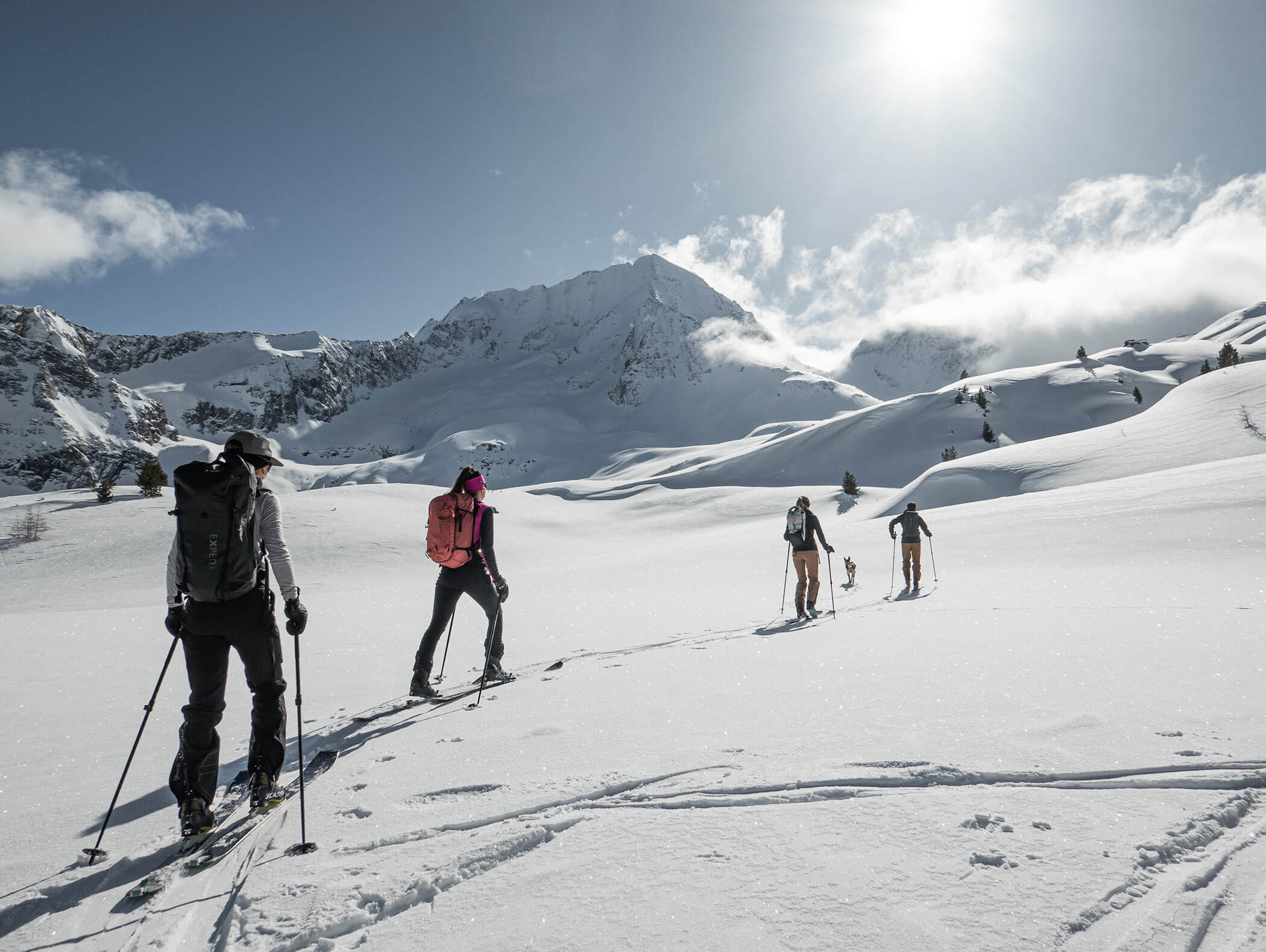 Three ski tourers and a dog in a snowy landscape, with a snow-covered mountain in the background - Berghotel Alpenfrieden